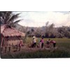 Scene from a Vietnamese village - note the village encroaching into the rice patties