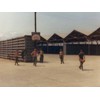 Basketball on the flightline